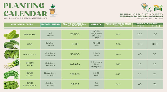 urban gardening, plant calendar, bureau of plant idustry, vegetable garden, urban planting, gardening, farming