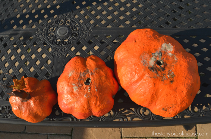 Moldy Pumpkins