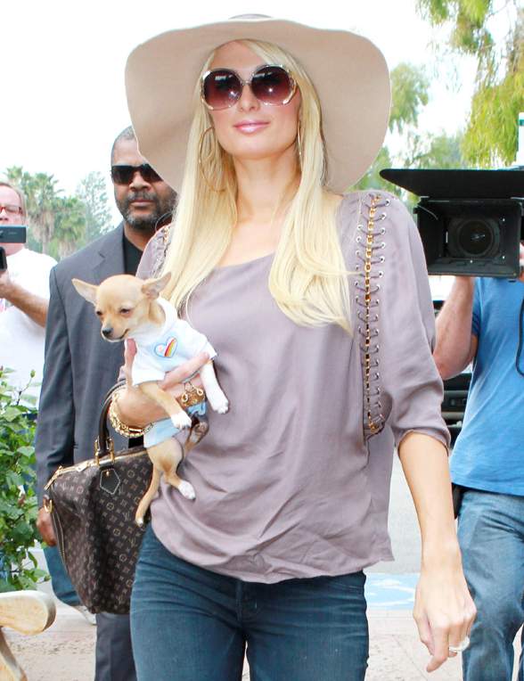 Candid Style Paris Hilton Out and About on January 7th
