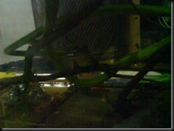 snake9