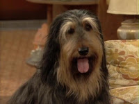 Married... With Children - Look Who's Barking