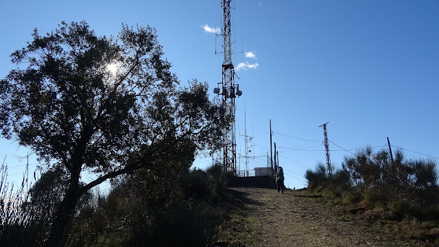 Turó d'en Segarra