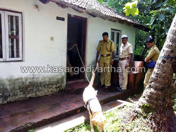 kasaragod, Kerala, Robbery, House, Gold, Cash, Dog squad, Town police, Window, Robbery in Thalangara. 