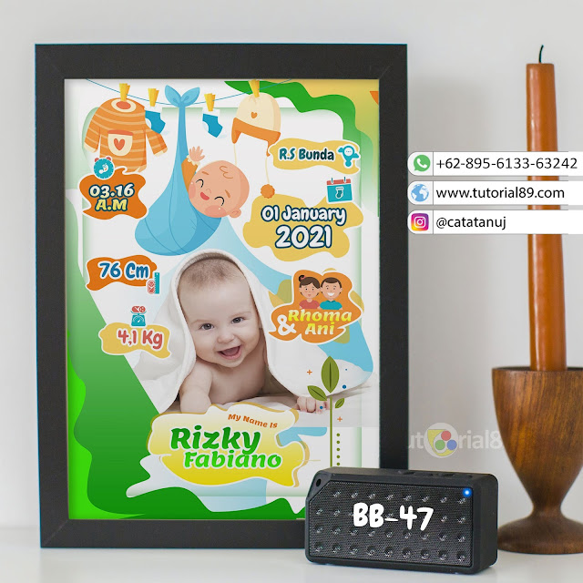 Biodata Bayi Costume Unik Kode BB47 | Hijau Putih