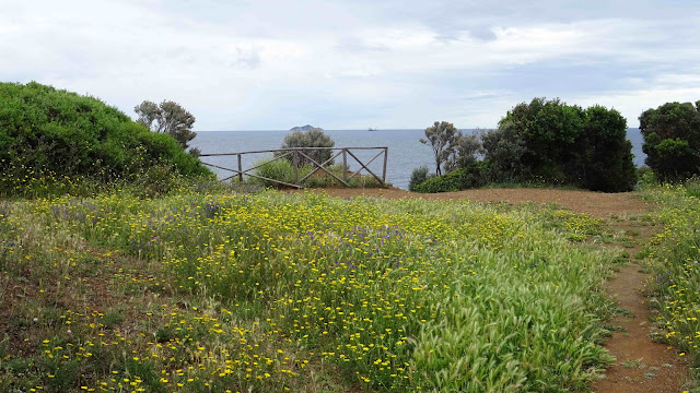 Piombino in May - Punta Falcone