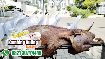 Kambing Guling Ciater Subang,Kambing Guling Ciater,Kambing Guling,