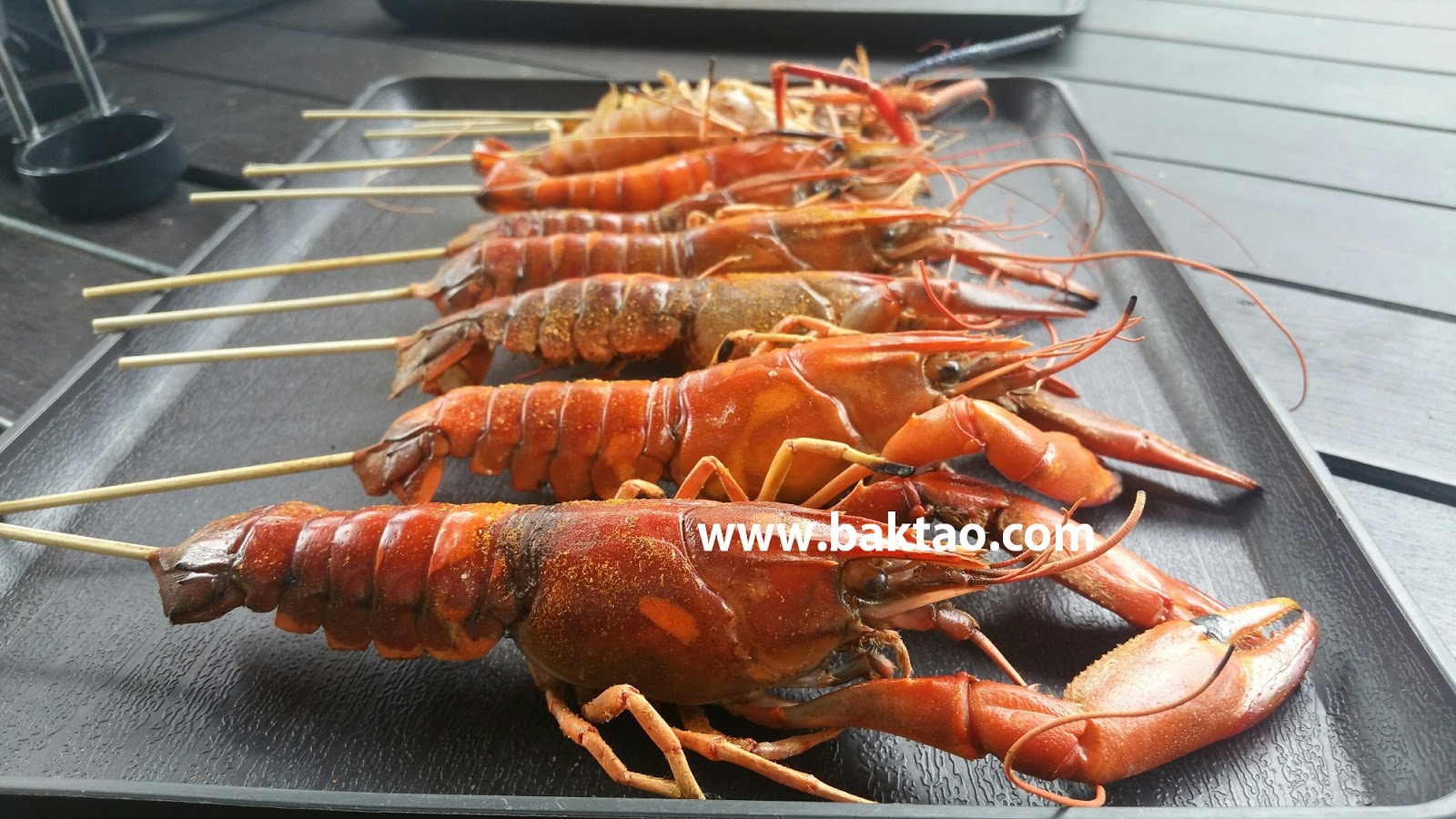 8 tips for catching or prawning for yabbies in Singapore