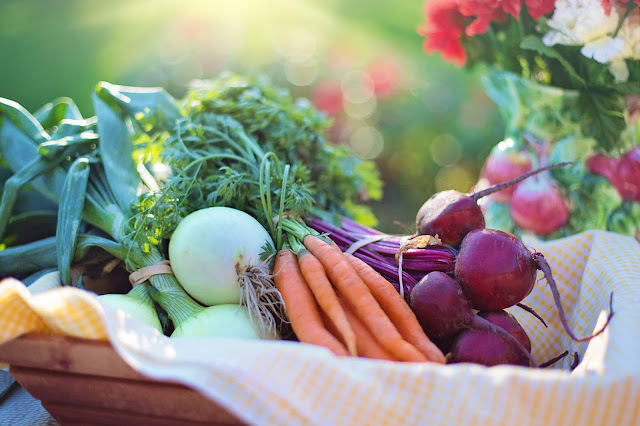 agriculture basket beets