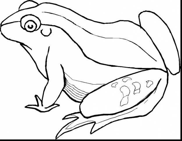 Magnificent Printable Frog Coloring Pages For Kids With Free Printable Animal  Coloring Pages And Free Printable