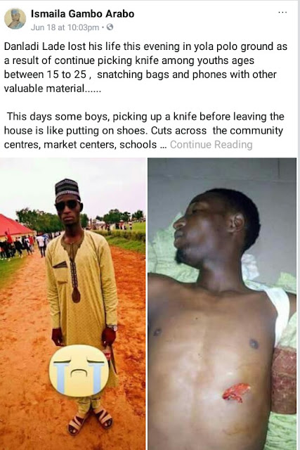 Young man stabbed to death by gang of dangerous youths in Adamawa after he refused to hand over his phone (photos)