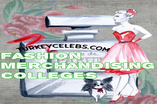The Intermediate Guide to Fashion Merchandising Colleges.