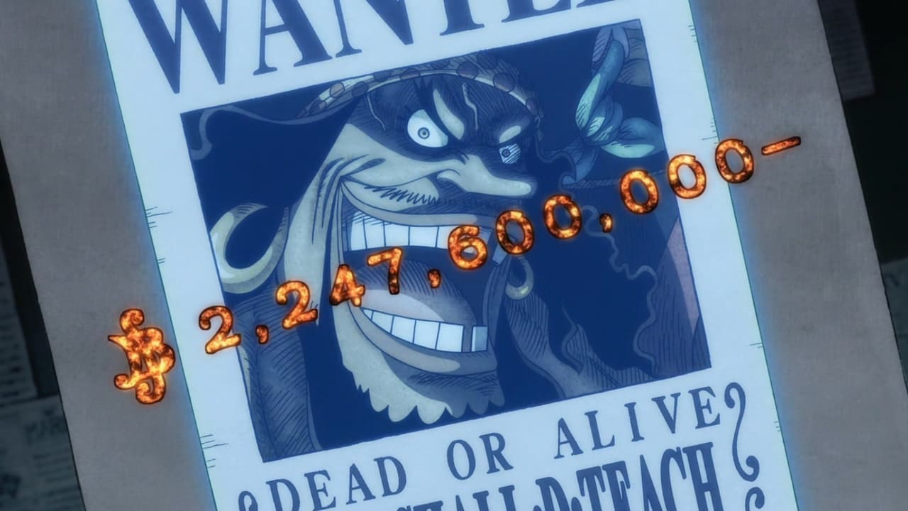One Piece 四皇メンバー一覧 Four Emperors