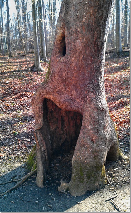 McCormick's Creek State Park 3