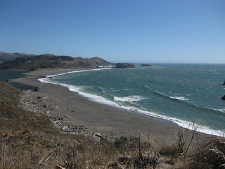 View of the beach from Highway 1 near Jenner, California