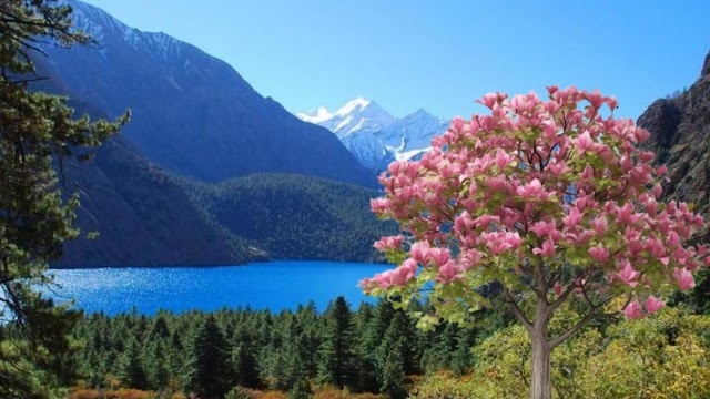 Rara: A Jewel in the Crown of the Himalayas