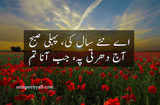 Happy New Year Poetry in Urdu