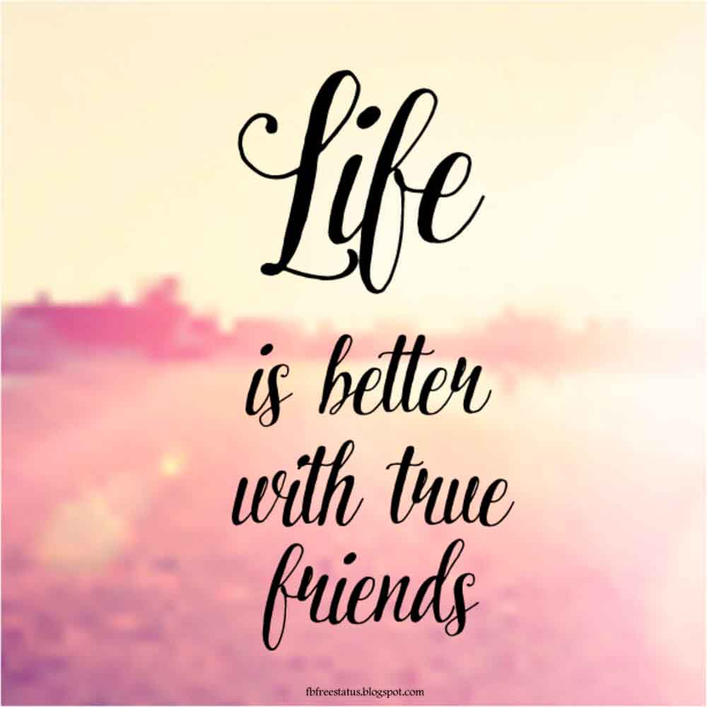 Ultimate Collection Of Friendship Quotes With Friendship Images