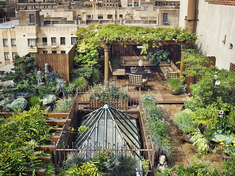 City Rooftop Garden