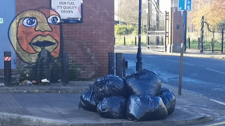 A pile of black bin bags in Grove Road