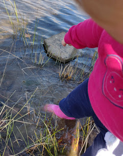 Paddling in the fishing pond