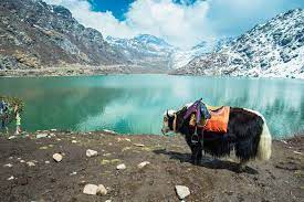 Top Summer Vacation Places In India-gangtok