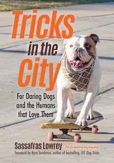 Interview with Sassafras Lowrey about hir new book,  Chew This Journal. Pictured, the cover of hir book Tricks in the City with a skateboarding dog.