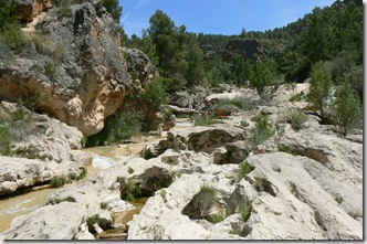 P1200754