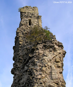BAINVILLE-AUX-MIROIRS (54) - Le donjon du château comtal