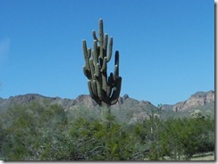 RSCN3445