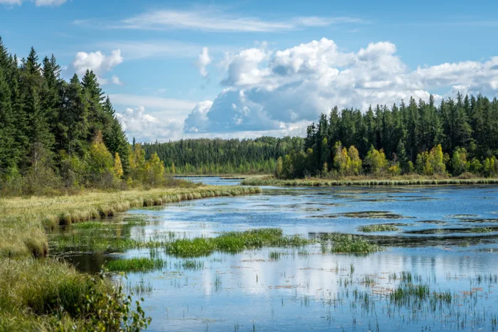 Prince Albert National Park