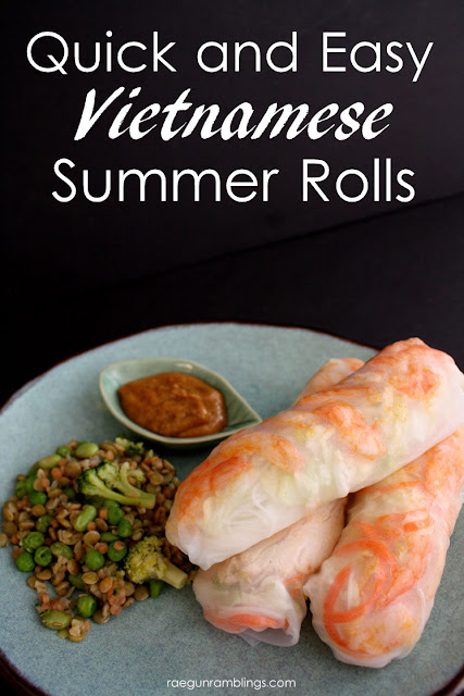 Vietnamese Summer Rolls Recipe from Rae Gun Ramblings