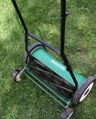 Simply put my lawn is anything BUT grass