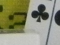 Nikon S9100 Sample Image
