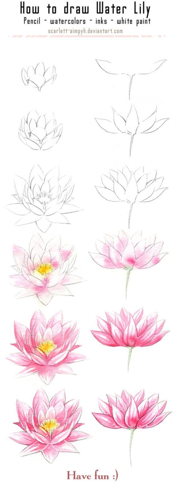 Cara Menggambar Bunga Teratai Dengan Mudah | Semburat Warna