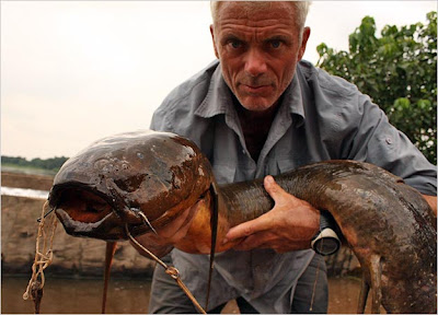 Bizarre river creature Seen On www.coolpicturegallery.net