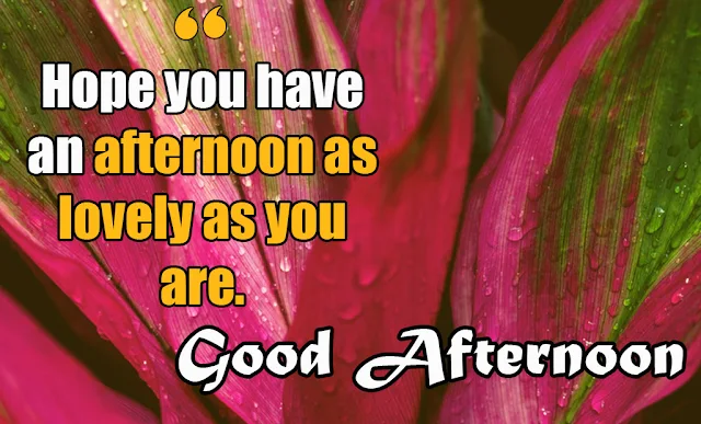 Quotes on good Afternoon