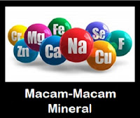 Macam-Macam Fungsi Mineral