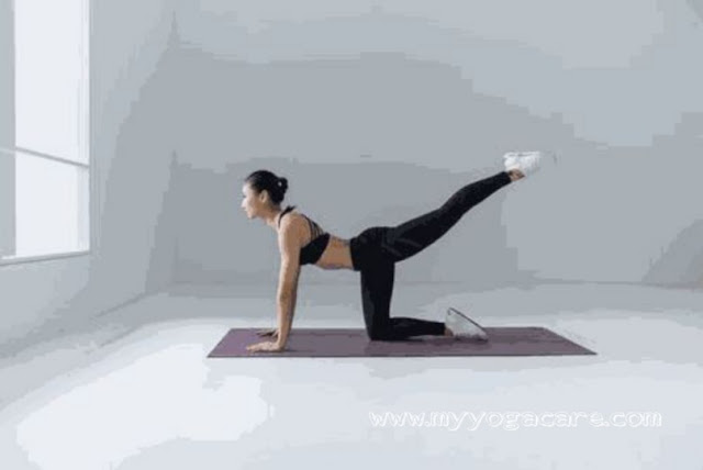 Virbhadrasana yoga 