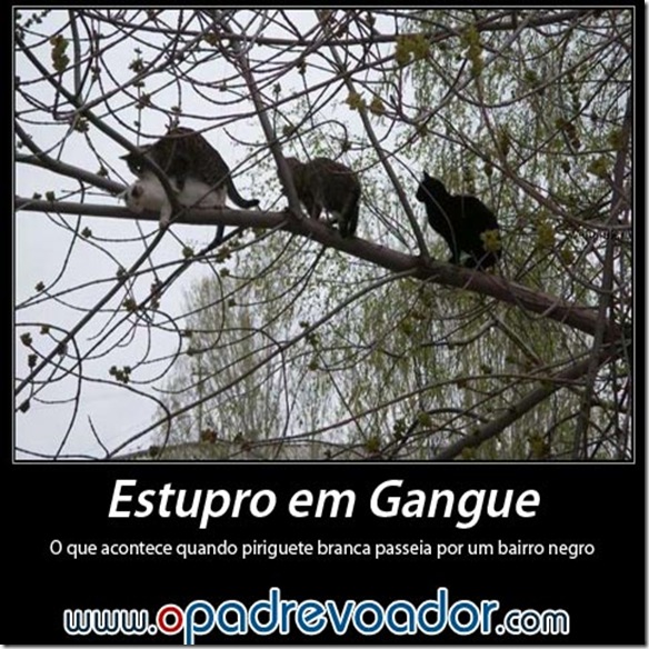 engraçadas (339)
