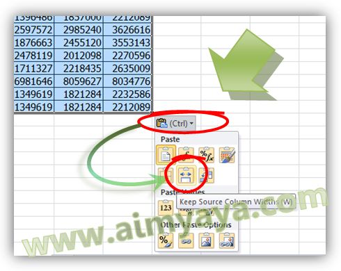  Gambar: Copy tabel dengan lebar kolom melalui Paste  Options