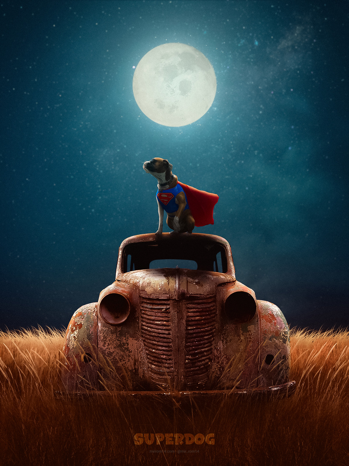 I Create a Superdog Photo Manipulation in Photoshop