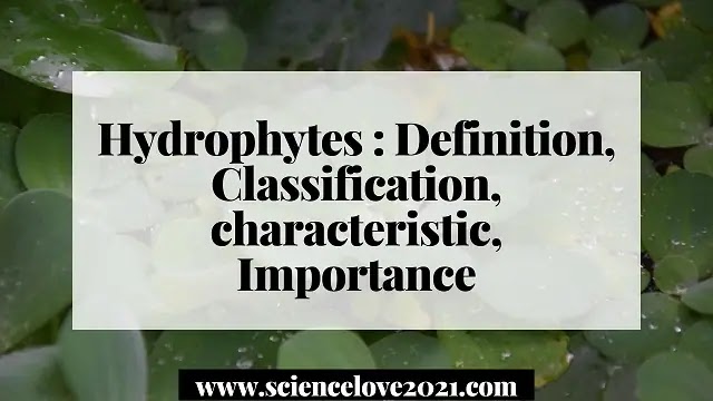 Hydrophytes : Definition, Classification, characteristic, Importance