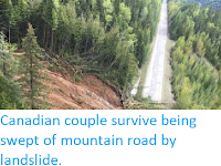 https://sciencythoughts.blogspot.com/2018/05/canadian-couple-survive-being-swept-of.html