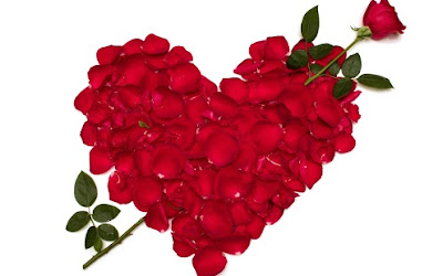 coeur en pétales de roses rouges