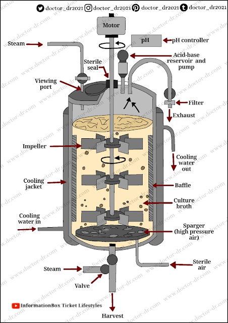 Parts of the bioreactor and their function