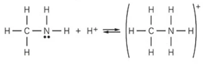 A reação química que ocorre entre a metilamina e os íons H⁺ presentes no suco de limão pode ser equacionada por