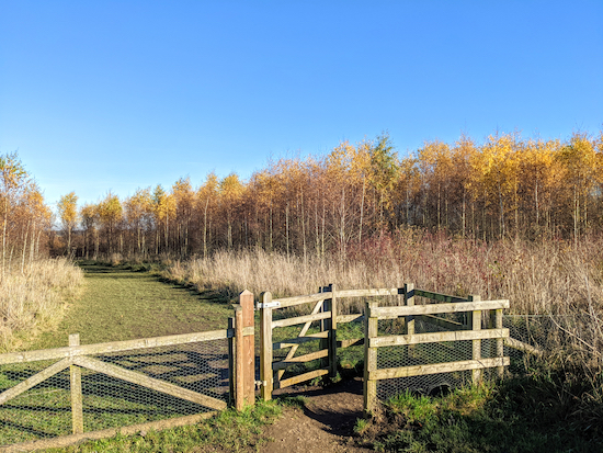 Turn left before the gate then head NW towards Round Wood