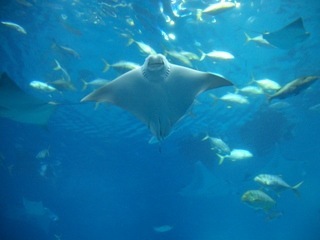 CIMG0855