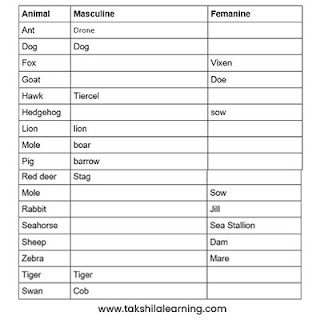 masculine and feminine gender of animals