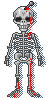 Esqueleto (12)